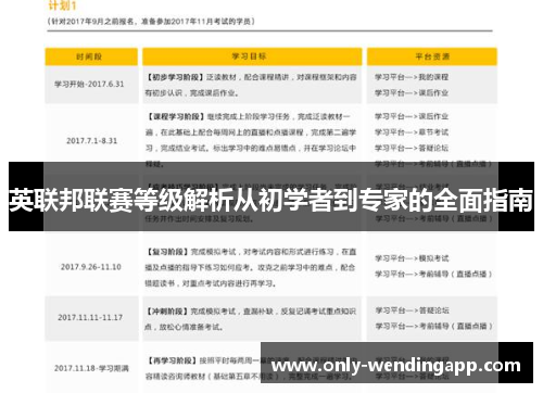 英联邦联赛等级解析从初学者到专家的全面指南 英联邦联赛等级解析从初学者到专家的全面指南