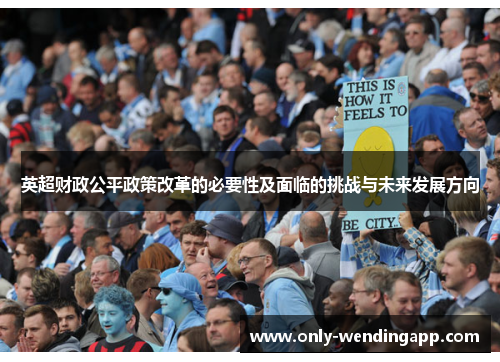 英超财政公平政策改革的必要性及面临的挑战与未来发展方向