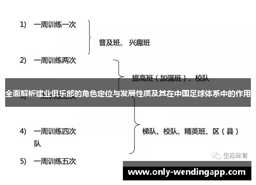 全面解析建业俱乐部的角色定位与发展性质及其在中国足球体系中的作用 全面解析建业俱乐部的角色定位与发展性质及其在中国足球体系中的作用