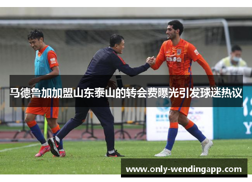 马德鲁加加盟山东泰山的转会费曝光引发球迷热议